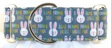 Some Bunny Loves You dog collar