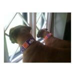 Biggie (left) and Gigi (right)~G~091