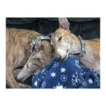 Carter and Paige~G~127