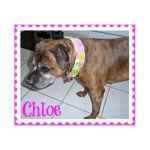Chloe E~G~137