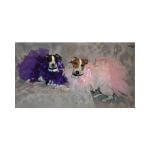 Crickit and Pixie~G~172