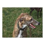 Iza Doll (Izie)~G~296