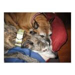 Keelin and Brittany~G~334