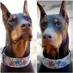 Bing Bong (left) and Leica (right)~G~1027