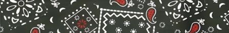 Bandana Black and Red dog collar #2