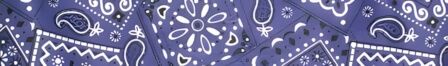 Bandana Purple dog collar #2