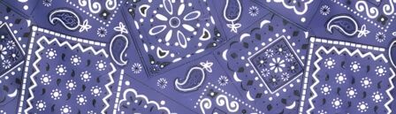 Bandana Purple dog collar #3