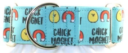 Chick Magnet dog collar #1