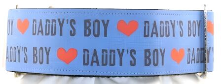 Daddys Boy Blue dog collar #3