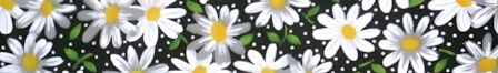 Daisies Black dog collar #2