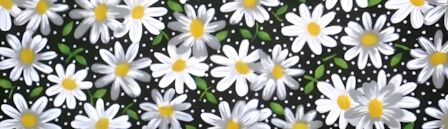 Daisies Black dog collar #3