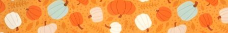 Pumpkins on Orange dog collar #2