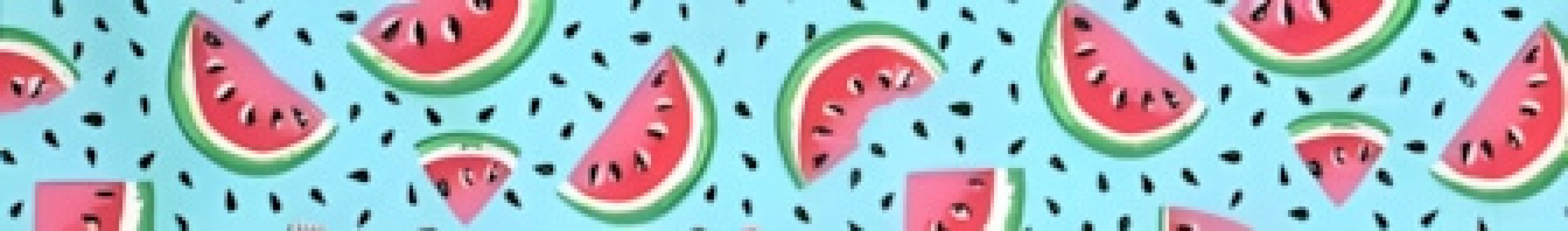 Watermelon Slices dog collar #2