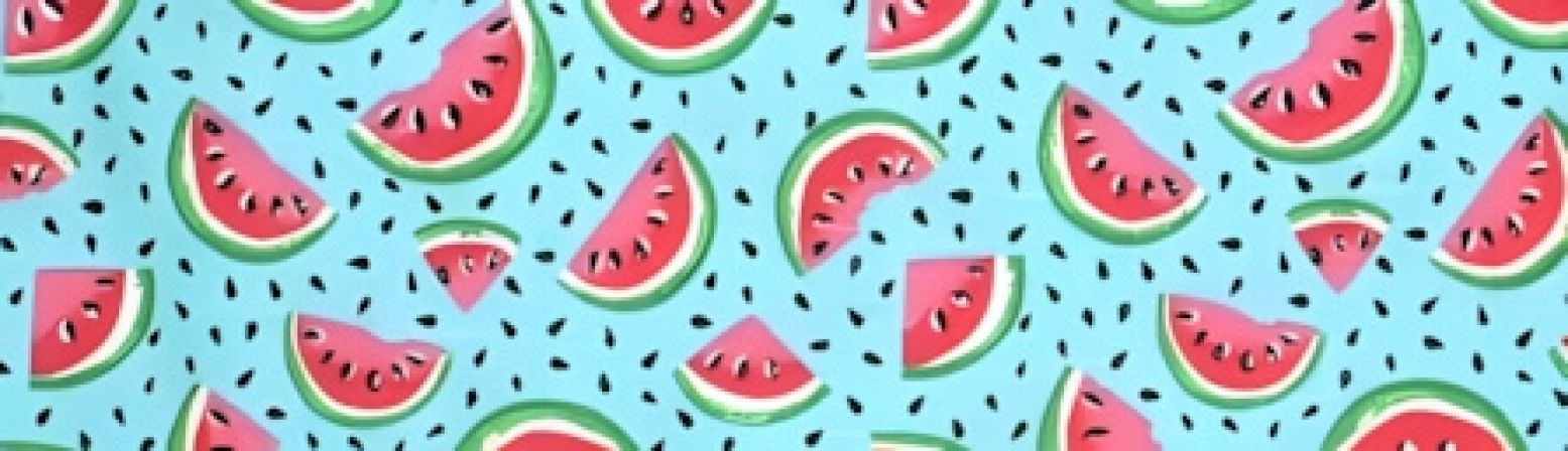 Watermelon Slices dog collar #3