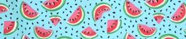 Watermelon Slices dog collar